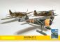 Mobile Preview: rumänische Lizenz IAR des polnischen Jagdflugzeuges PZL P.11F (Kufen- oder Radfahrgestell) 1940-1943 1:33