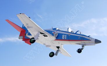 russischer Trainer MiG-AT „weiße 81“ 1:33 extrem präzise