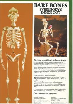 menschliches Skelettmodell von David Hawcock, OVP 1:1.5