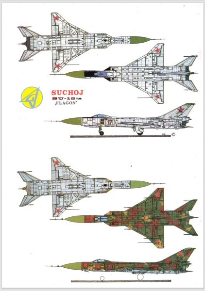 sowjetisches Jagdflugzeug Suchoj SU-15TM FLAGON-F 1:33 gut detailliert, selten